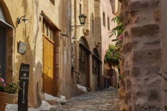 Narrow paved path in the old town with flowering plants and old buildings, Monemvasia, Monemvassia,
