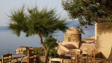 Soft morning light, fresh tree with Mediterranean vegetation and view of the sea from a terrace,
