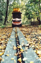 DEU Germany Germany Berlin Still life in the abandoned former Spreepark in Plänterwald, the largest
