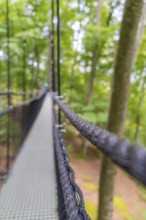 Blurring effects show long suspension rope bridge through the green forest, Treewalk, Affenberg