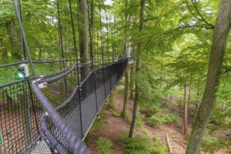 Hanging rope bridge in the forest with ropes leading through the treetops, Treewalk, Affenberg