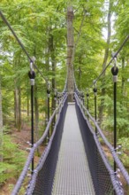 Narrow suspension bridge over treetops in the forest, Treewalk, Affenberg Salem, Bodenseekreis,