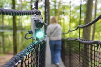 Close-up of a signal on a treewalk, Affenberg Salem, Bodenseekreis, Germany