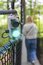Green signal light for a woman on the treewalk, Affenberg Salem, Bodenseekreis, Germany
