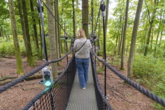 Woman walking on a treetop path through the forest, Treewalk, Affenberg Salem, Bodenseekreis,