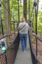 Woman walking across a narrow treetop path in the forest, Treewalk, Affenberg Salem, Bodenseekreis,