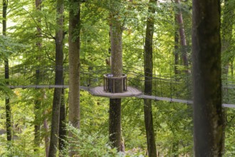 Hanging rope platform between the tops, surrounded by thick green leaves, Treewalk, Affenberg