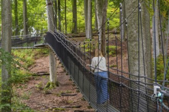 Woman walking alone on a rope bridge through the forest, Treewalk, Affenberg Salem, Bodenseekreis,