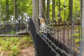 Woman walking on a sturdy rope bridge through the forest, Treewalk, Affenberg Salem, Bodenseekreis,