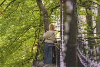 Woman standing on a platform in the treetops in the forest, Treewalk, Affenberg Salem,