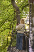 Woman on a platform in the treetops of a forest, Treewalk, Affenberg Salem, Bodenseekreis, Germany