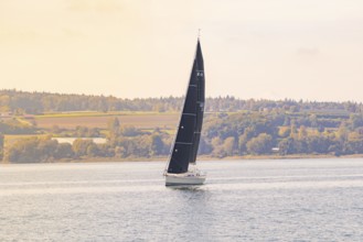 Boat sails gently along the autumnal coast under a clear sky, boat trip, Lake Constance, Germany