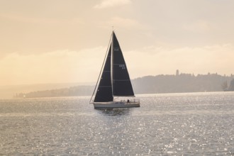 Sailing boat with black sails peacefully across the sparkling lake, boat trip, Lake Constance,