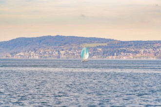 Single sailboat on open water in front of a hilly landscape, boat trip, Lake Constance, Germany