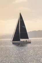 Sailing boat with black sail on sparkling water under bright sun, boat trip, Lake Constance,