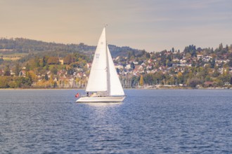Sailing boat on a calm lake, nestled in an idyllic autumnal coastal landscape, boat trip, Lake