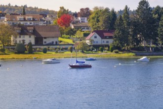 Seascape with colorful shore and various boats, boat trip, Lake Constance, Germany