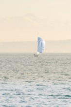 Sailing boat with blue and white sail floating on a wide lake against a mountain backdrop, Schiff