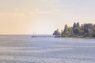 Panoramic view of a quiet lake with autumnal shore, boat trip, Lake Constance, Germany