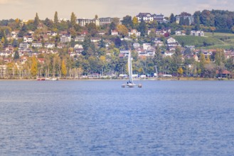 Sailing boat on a lake in front of a hilly landscape with colorful houses and autumn trees, boat