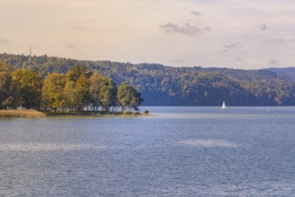 View of quiet lake with sailboat and wooded shore, boat trip, Lake Constance, Germany