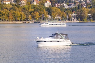 Motor boat on a lake near a wooded coast with houses, boat trip, Lake Constance, Germany