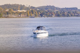 Motor boat rides on a quiet lake with wooded shore, boat trip, Lake Constance, Germany