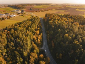 Road snakes through an autumnal forest from a bird's eye view, Nagold, Black Forest, Germany
