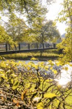 Bridge over a river in an autumnal parkland, illuminated by sun, Nagold, Black Forest, Germany