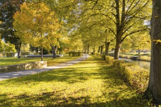 Sunny walking trail in the park with yellow foliage and large trees, Nagold, Black Forest, Germany