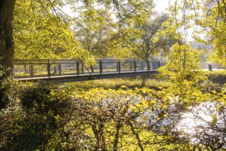 Autumn scene with a bridge over a river, surrounded by golden yellow deciduous trees, Nagold, Black