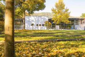 Public building in an autumn park with leaves, Nagold, Black Forest, Germany
