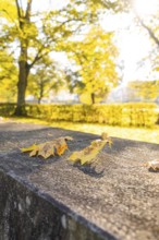 Yellow autumn leaves on a wall in sunshine, Nagold, Black Forest, Germany