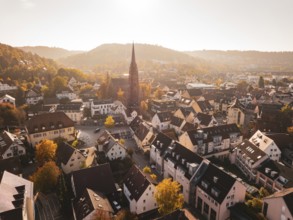A view of a town with a church in the center, surrounded by autumn-colored trees, Nagold, Black