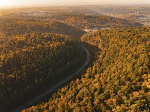 Autumn forest with a road and view of a city, surrounded by rolling hills, Nagold, Black Forest,