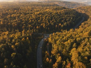 A forest with a winding road surrounded by autumn-colored trees in daylight, Nagold, Black Forest,