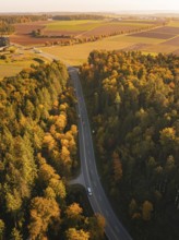 A winding road through an autumnal forest at dusk with soft light, Nagold, Black Forest, Germany