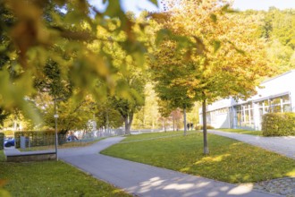 A well-maintained park path with colorful autumn trees and grasses illuminated by sunlight, Nagold,