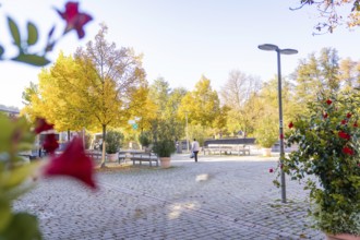 A quiet place with blooming plants and autumn-colored trees, illuminated by street lamps, Nagold,