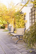 Two benches in front of a plant-covered building surrounded by autumn leaves in calm weather,