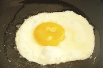 Fryd egg in isolated background, São Paulo, Brazil