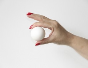 Female hand Showing white egg, São Paulo, Brazil