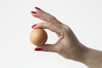Female hand Showing red egg, São Paulo, Brazil