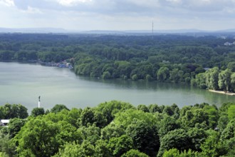 Lake Maschsee in green countryside, Hanover, Lower Saxony, Germany