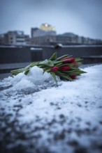 DEU Germany Germany Berlin Messages immortalized in snow from visitors to the Holocaust Memorial in