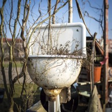 DEU Germany Germany Berlin Scenes of raised bed gardens on the site of the former Tempelhof airport