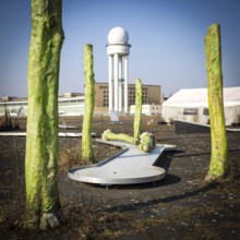 DEU Germany Germany Berlin Scenes of raised bed gardens on the site of the former Tempelhof airport