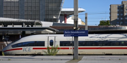Berlin Gesundbrunnen railway station, Nordkreuz, long-distance and local train station with