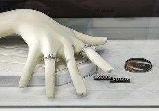 Very expensive rings made of 18k gold in a display by a jeweler in Tauentzienstraße, Luxuswaren,