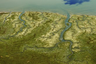Ostheller, salt marshes with Prilen, Wadden Sea, aerial view, Norderney, North Sea, North Sea